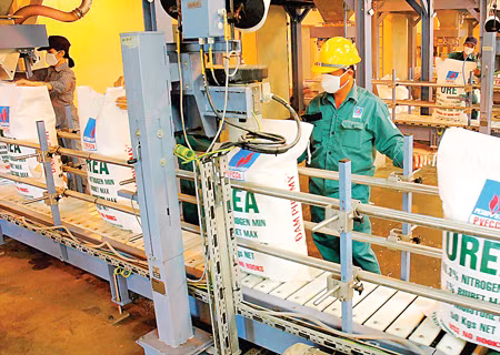 Phu My Urea named among Forbes Top 40 valuable brands ảnh 1