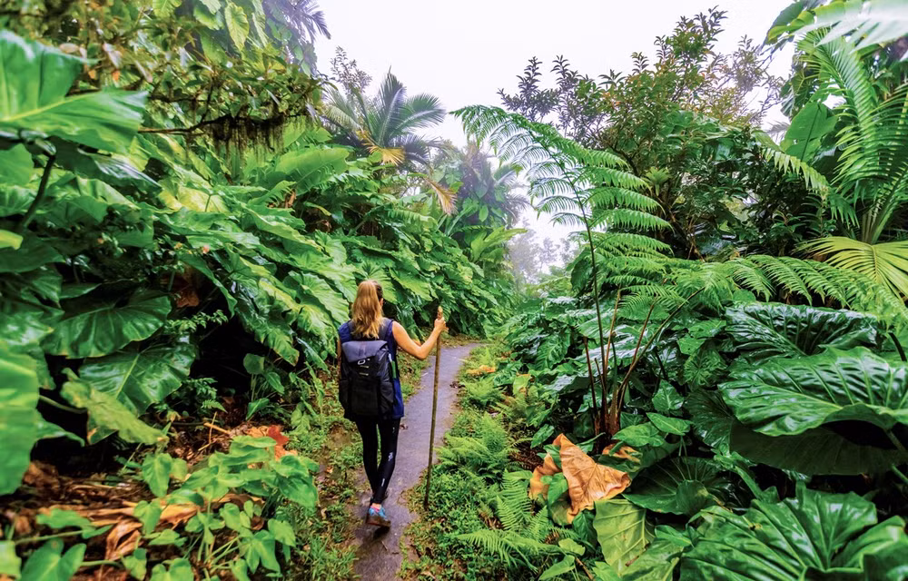 Digital transformation creates breakthrough for tourism industry ảnh 1