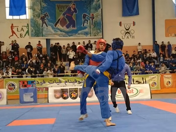 Algeria: national Vovinam championships enters final round ảnh 1