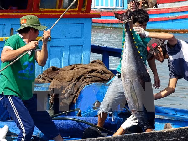 Exports of aquatic products surge in six months ảnh 1