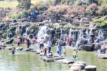 Dong Nai welcomes 2 million visitors in six months ảnh 1