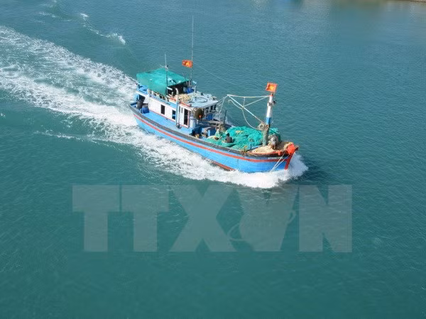Vietnam, Indonesia FMs talk about shooting of VN’s fishing boat ảnh 1