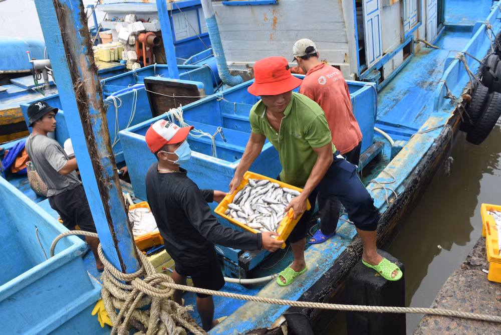 Public awareness programme broadened to battle illegal fishing ảnh 2
