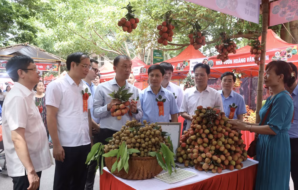 Hung Yen opens litchi fair 2023 ảnh 1