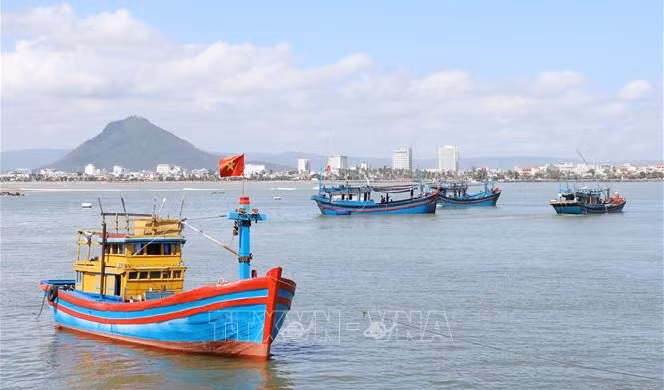 Public awareness programme broadened to battle illegal fishing ảnh 1