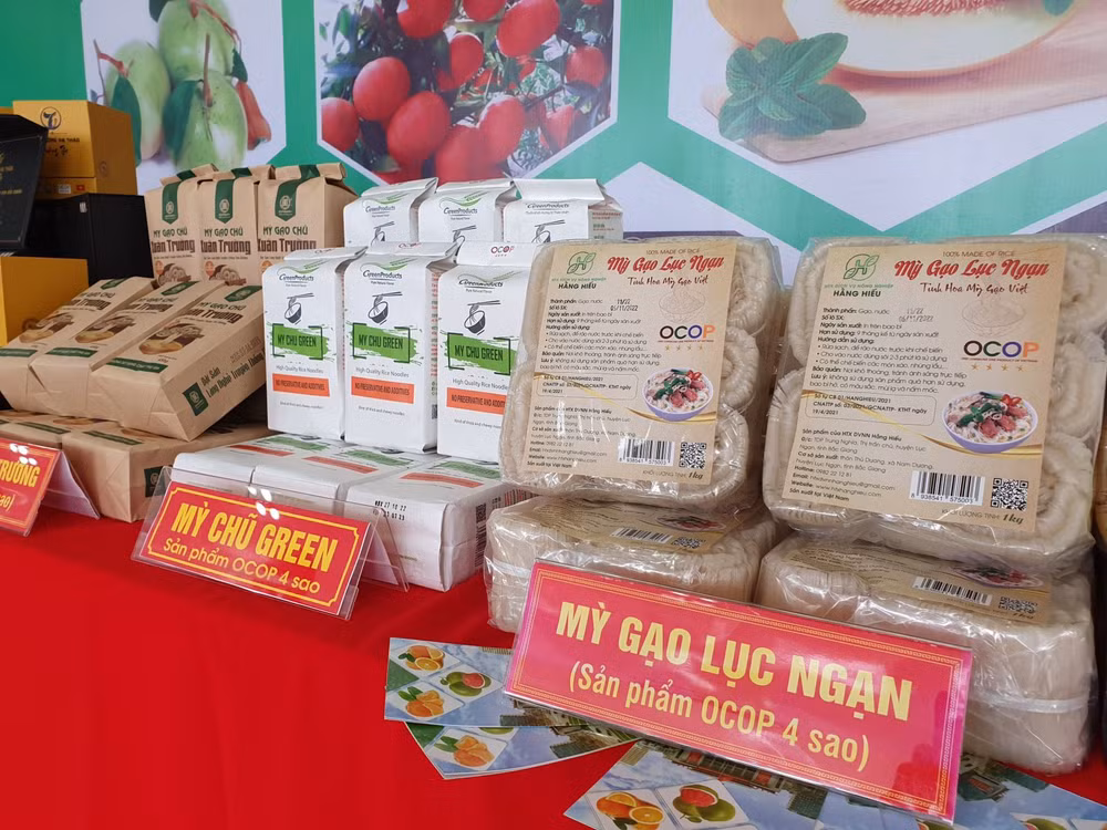 Bac Giang promotes consumption of OCOP products associated with tourism ảnh 2