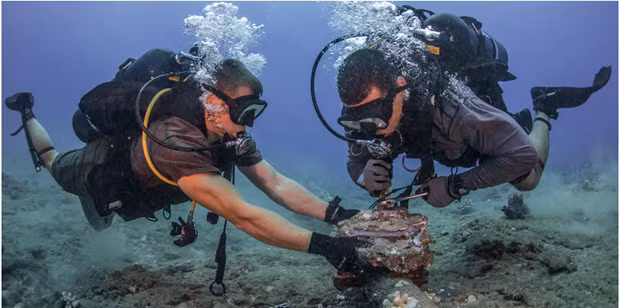 Internet speeds up as four of five undersea cables repaired ảnh 1