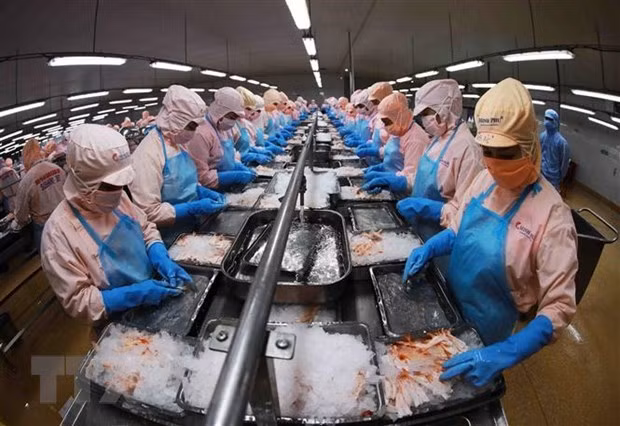 Agro-forestry-aquatic product exports likely to rebound in Q4: official ảnh 1