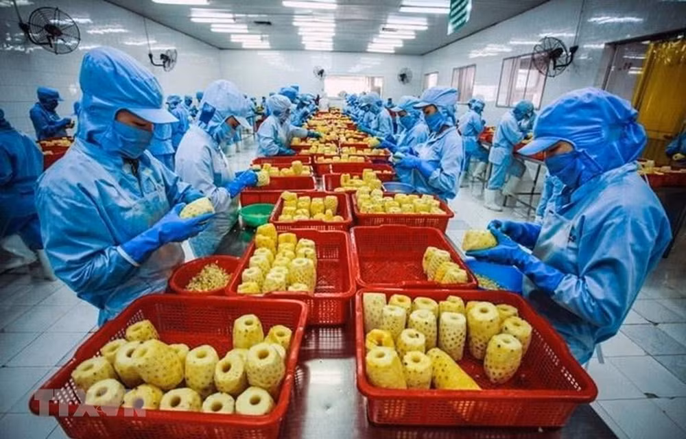 Vietnam’s vegetable, fruit exports flourish in second quarter ảnh 2