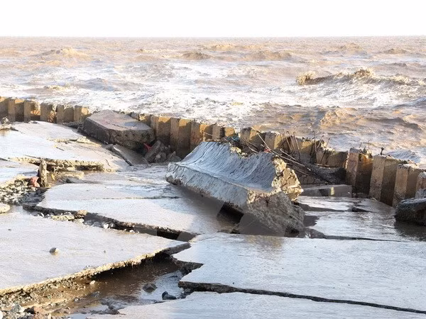 Bac Lieu approves measures to fix eroded sea dykes ảnh 1