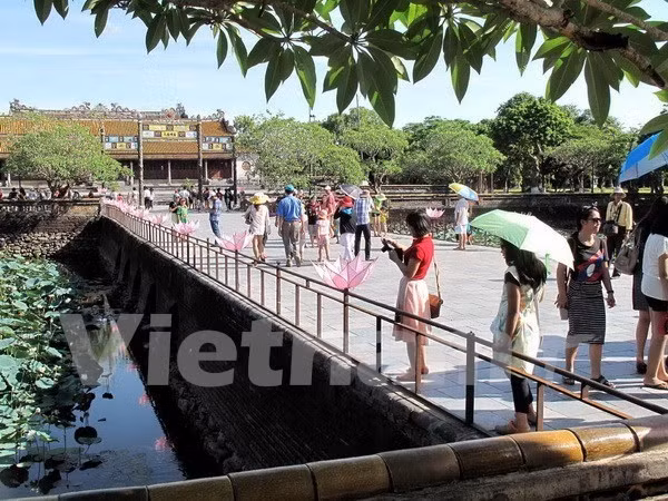 Hue Imperial Citadel to open at night from next month ảnh 1