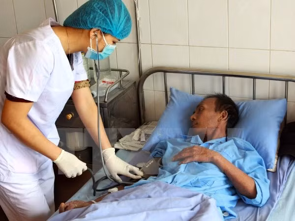 Global Fund continues supporting Vietnam’s HIV, TB, malaria fight ảnh 1