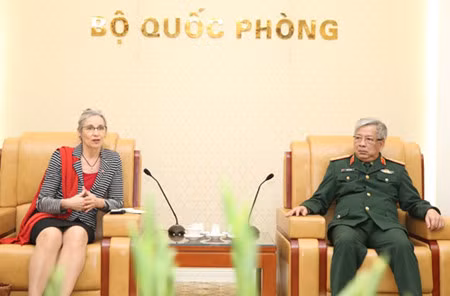 Vietnam, Netherlands boost peacekeeping cooperation ảnh 1