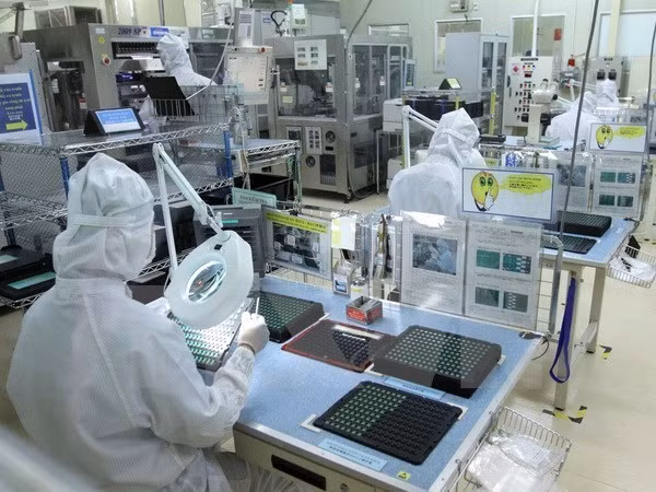 Dong Nai enjoys surge in domestic investment ảnh 1