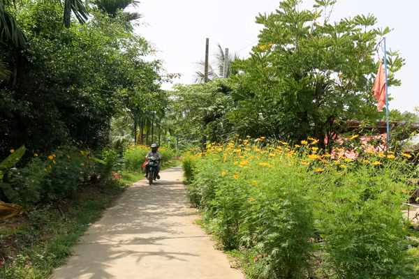Khmer commune in Soc Trang becomes new-style rural area ảnh 1