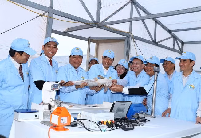 PM visits high-tech tra fish farm in An Giang ảnh 1