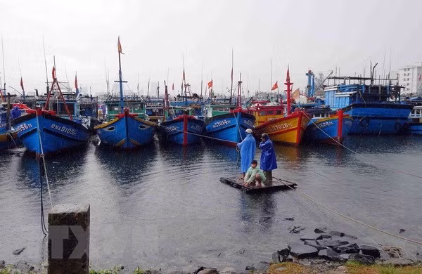 Kien Giang announces list of violating fishing vessels ảnh 1