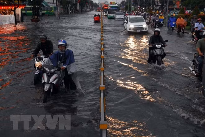 HCM City to resolve flooding problems by 2020 ảnh 1
