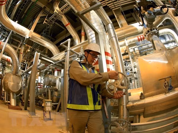 Vietnam, US bolster ties in gas power, LNG infrastructure development ảnh 1