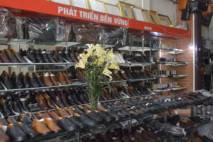Leather, footwear sector needs supporting industry ảnh 1