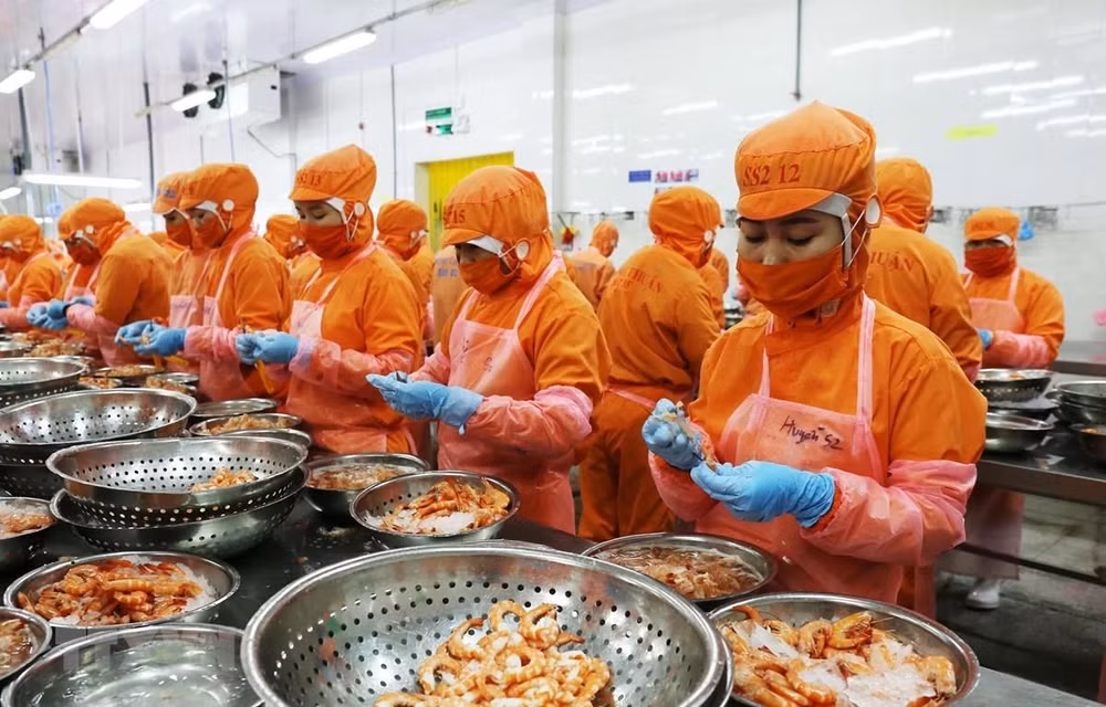 Measures sought to strengthen Vietnam’s economic autonomy ảnh 1