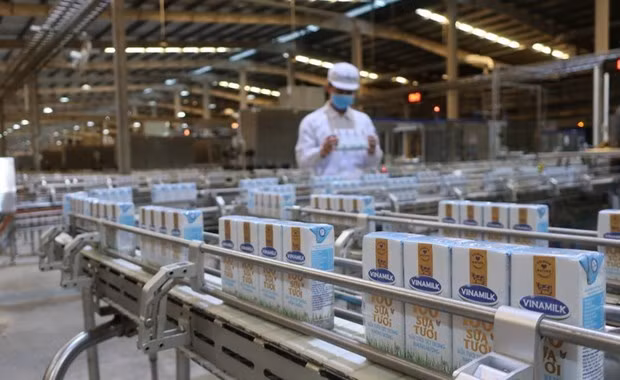 Two more Vietnamese dairy producers licensed to export to China ảnh 1