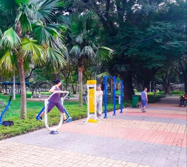 HCM City allocates land for physical training and sports facilities ảnh 1