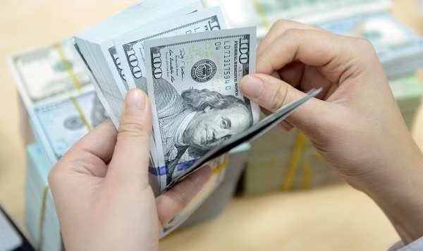 Vietnam dong devalued 1.1 percent in 2016 ảnh 1