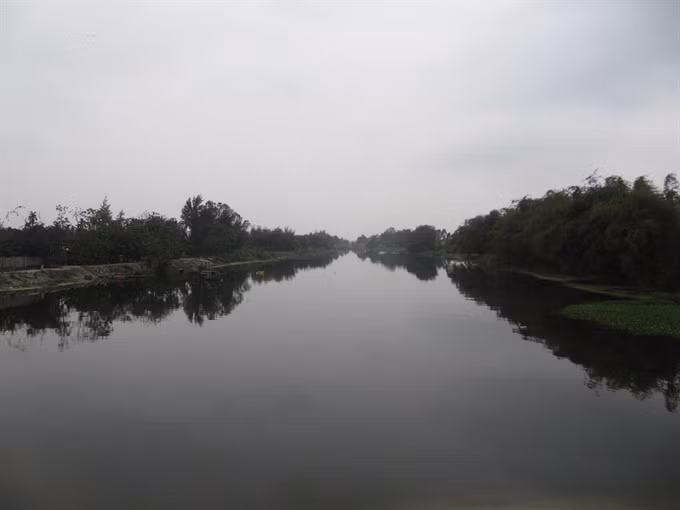 Quang Nam to launch bamboo conservation project ảnh 1
