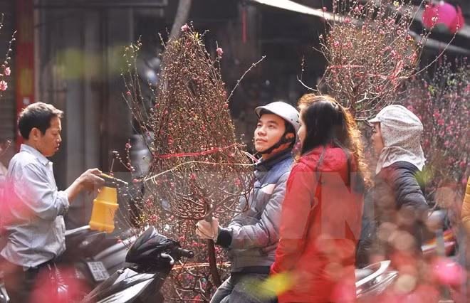 Lunar New Year – biggest traditional holiday in Vietnam ảnh 1