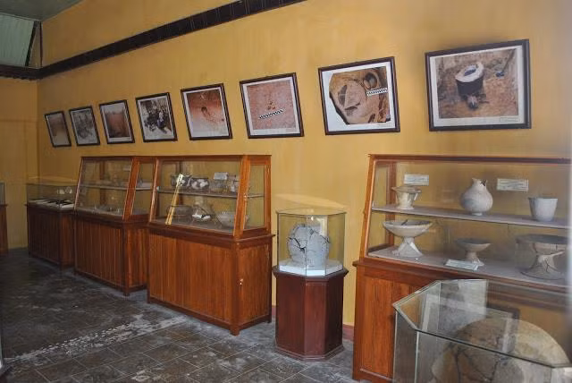 Binh Thuan resident donates 230 artifacts to Ninh Thuan Museum ảnh 1