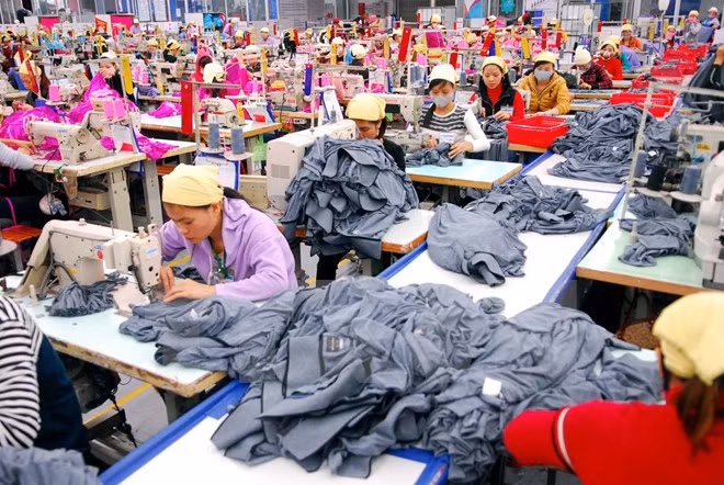 Can Tho targets 1.65 bln USD in export, foreign currency service ảnh 1