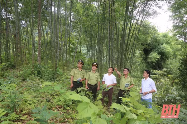 Thanh Hoa approves plan to preserve, develop Pu Luong Natural Reserve ảnh 1