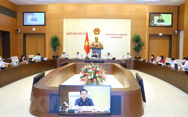 NA Standing Committee mulls over legal enforcement ảnh 1
