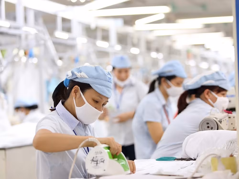 Cash assistance programme, faster aid delivery recommended to support people, enterprises ảnh 2