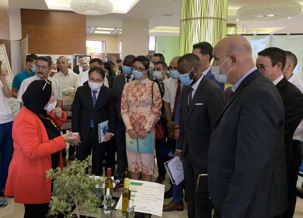 Vietnam shares entrepreneurship experience with Algeria ảnh 1