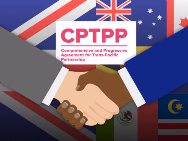 CPTPP member states discuss UK’s entry ảnh 1