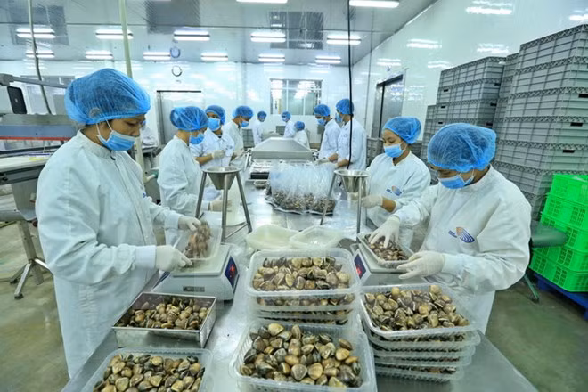 Agro-forestry-aquatic export hits 36.3 billion USD in 2017 ảnh 1