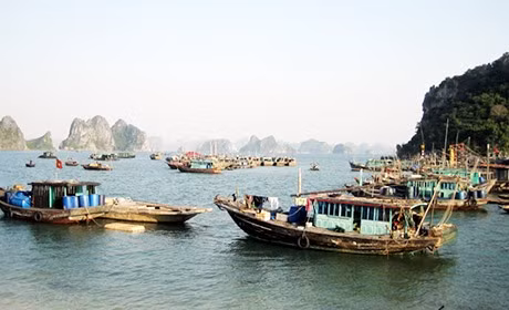 Quang Ninh province loses marine resources ảnh 1