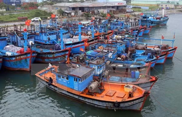 Quang Ngai asked to roll out measures to end illegal fishing ảnh 1
