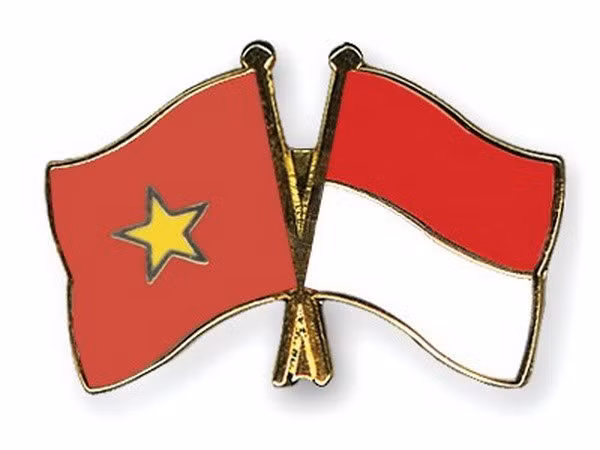 Seminar spotlights Vietnam-Indonesia partnership ảnh 1