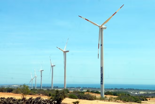Ninh Thuan aims to become renewable energy centre ảnh 1