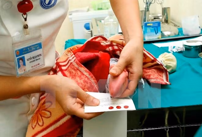 Over 5,600 babies born via in-vitro fertilisation at Tu Du Hospital ảnh 1