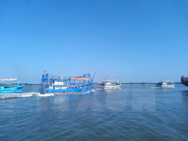 Fisheries – important economic sector of Vietnam ảnh 1