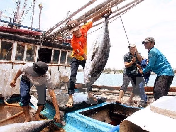 Vietnam tuna exports exceed yearly target ảnh 1