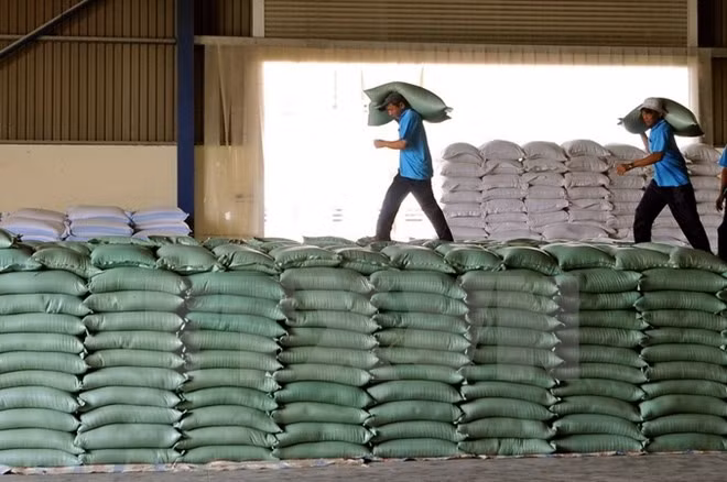 Rice exports beat low expectations in 2017 ảnh 1