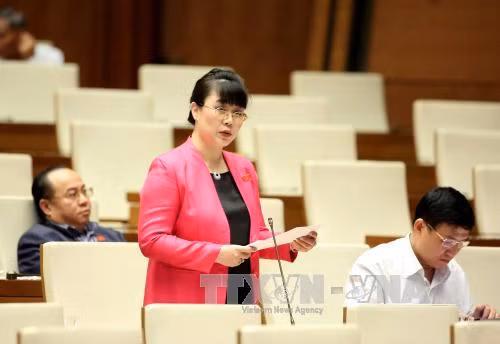 Legislators mull over proposed taxation regulations ảnh 1