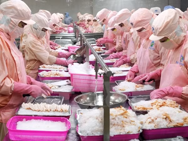Vietnam, Slovenia look for closer trade links ảnh 1