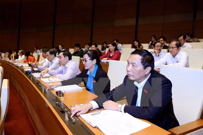 National Assembly adopts important laws ảnh 1
