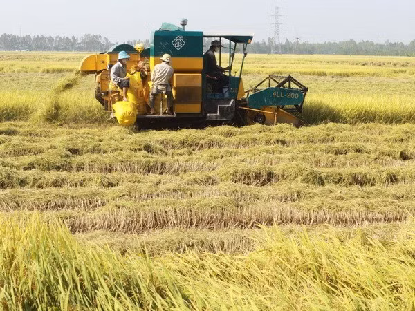 November sees 10-year low CPI rise ảnh 1